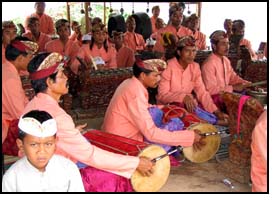 Instruments in a Balinese Gamelan