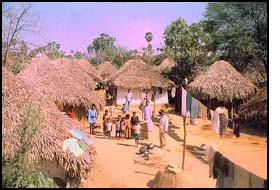 A South Indian Village