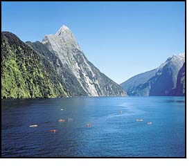 People Kayaking in Milford Sound, New Zealand