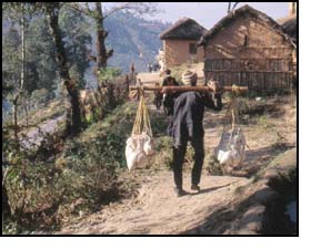A Nepalese Village