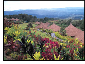 A typical scenery of Papua New Guinea