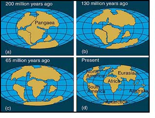 A diagram showing how the continents drifted apart.